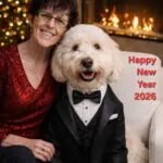 Lagotto romagnolo - balou 6 Woman and lagotto romagnolo dog in festive holiday setting with christmas tree and fireplace.