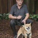 Shiba inu - koda 12