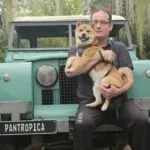 Shiba inu - koda 10
