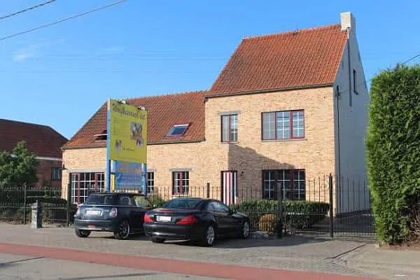 Chiot à domicile