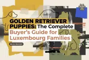 Professional header image for list-based article: Golden Retriever Puppies: The Complete Buyer's Guide for ...