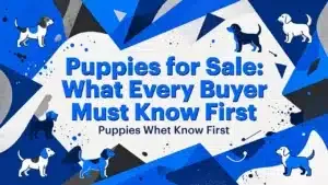 Professional header image for list-based article: Puppies for Sale: What Every Buyer Must Know First