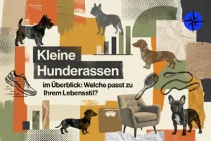 Professional header image for comparison analysis: Kleine Hunderassen im Überblick: Welche passt zu Ihrem Le...