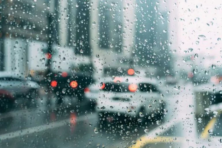 Rainy.webp (1)